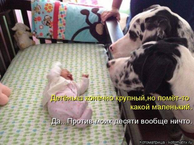 Забавные котоматрицы
