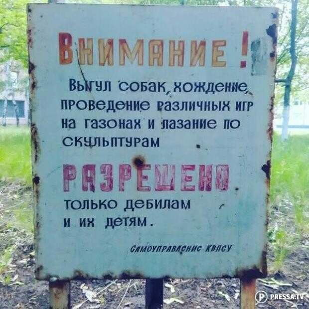 Объявления смешные картинки