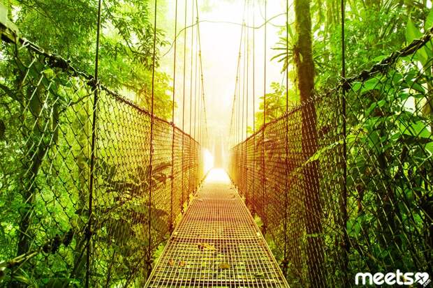 Costa Rica Costa Rica bridge