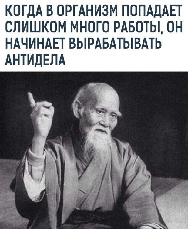 Подборка картинок (21 фото)