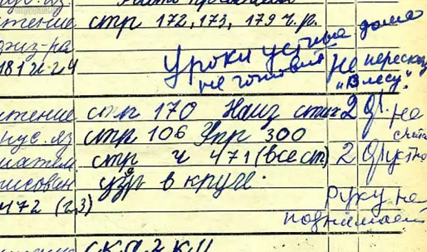 Дневник 44. Дневник двоечника. Дневник ученика двоечника. Школьный дневник двоечника. Дневник школьника двоечника.