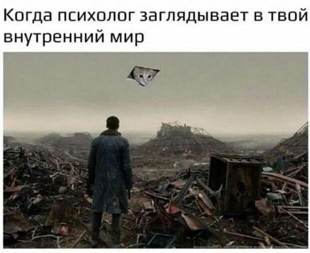 Подборка свежих мемов на сегодня