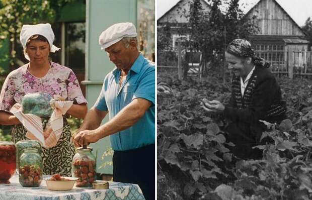 Люди консервировали то, что смогли вырастить летом в городе Люди консервировали то, что смогли вырастить летом в городе