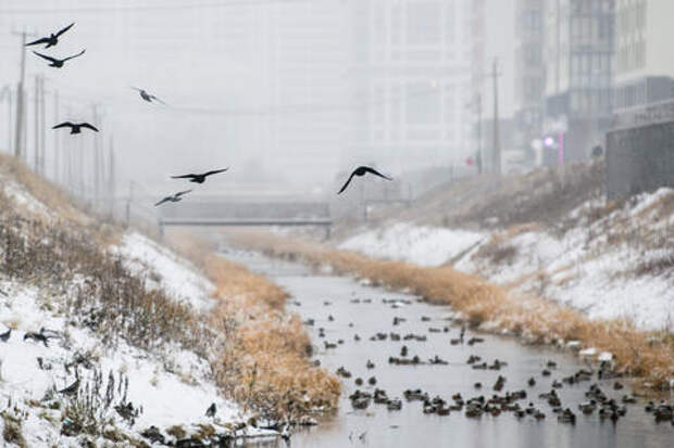 Реки на Кубани вышли из берегов, затопили дороги, пришлось ограничить движение транспорта