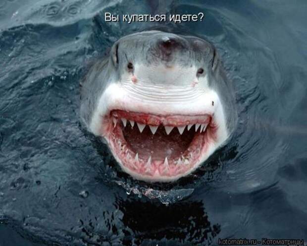 Мысли вслух :)