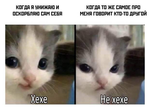 Смешные картинки 3 ноября 2021 года