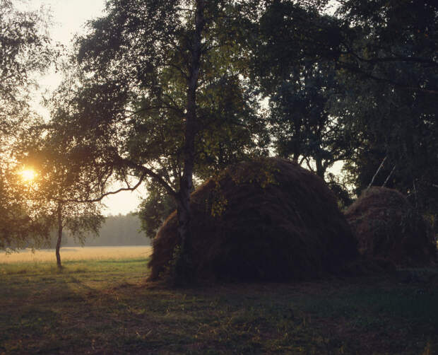 фото: Evgeniy Kanaev/Russian Look/Global Look Press