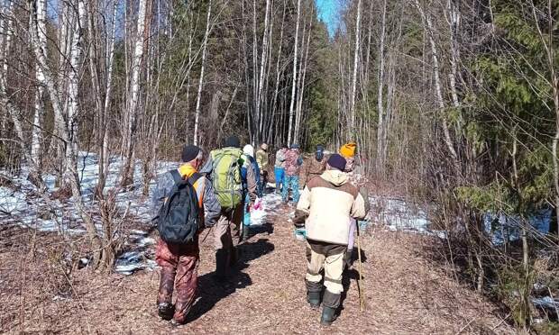 В Устьянском округе не смогли найти 61-летнего мужчину, ушедшего за березовым соком