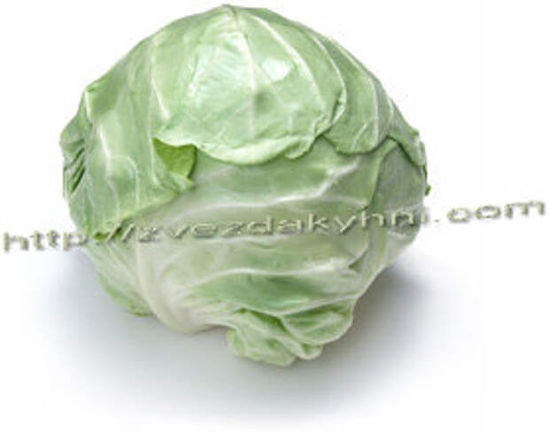 kapusta 