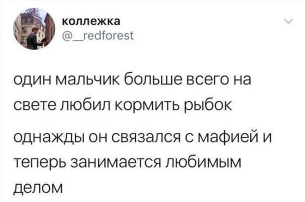 Смешные комментарии. Подборка chert-poberi-chert-poberi-19240619032020-15 картинка chert-poberi-19240619032020-15