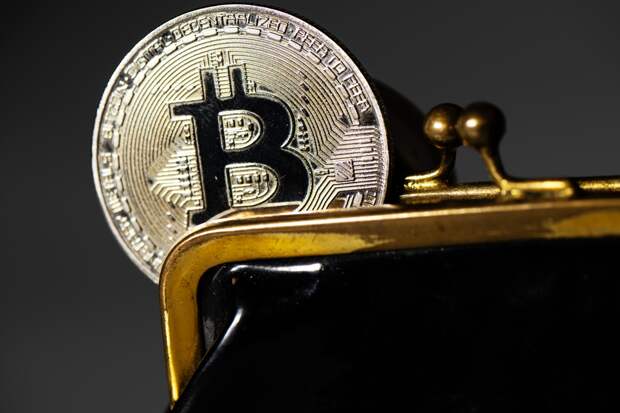 Аналитик высказался о способности биткоина отрасти до нового максимума после обвала