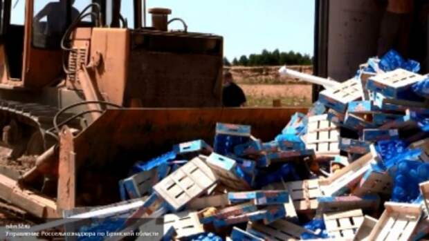 Пять тонн санкционных продуктов остановили на дорогах России за 4 месяца