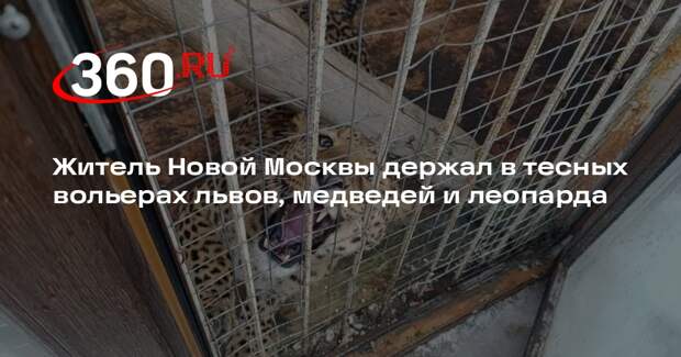 Львов, медведей и леопарда нашли в СНТ «Круиз» в Новой Москве