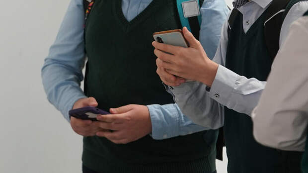 Собянин рассказал о развитии платформы "МЭШ"