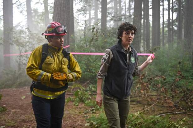 Eve and a bird rehab worker mark off a scene