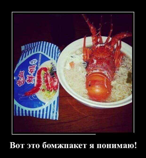 Демотиваторы (30 фото)