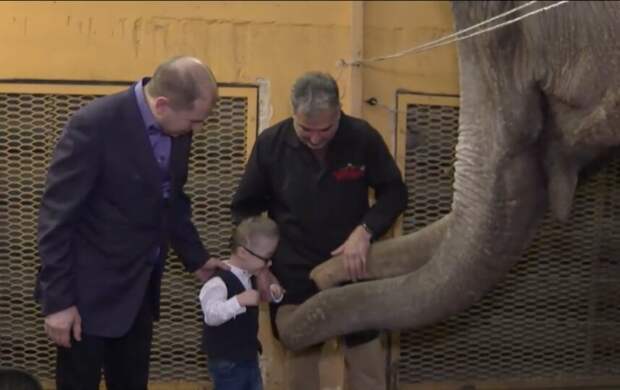 Депутат "Единой России" исполнил желание юного петербуржца в рамках акции "Ёлка желаний"