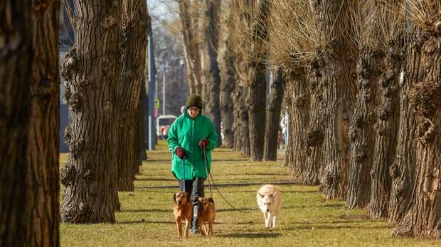 Москва и Санкт-Петербург лидируют в рейтинге качества жизни людей старшего возраста