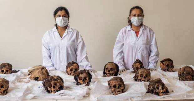 Ученые раскрыли массовое убийство детей на севере Перу, произошедшее в XV веке