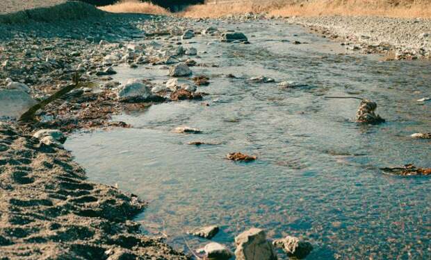 Мужчина на 5 лет уехал в тайгу и тайно намывал золото. По дороге назад его остановили и изъяли металл на 100 млн руб