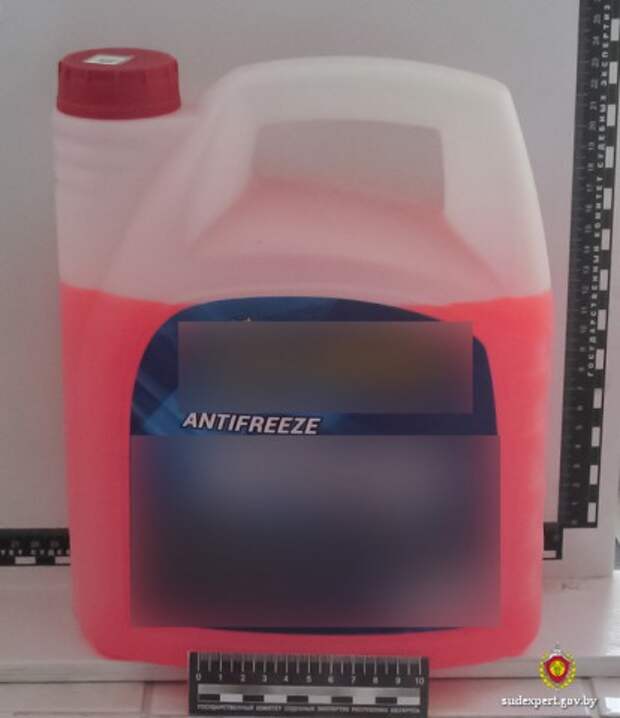 Токсичный коктейль: чем опасны этанол, метанол и ядовитая флора.