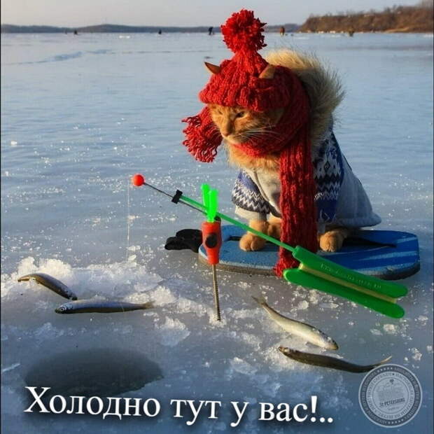 Холодно тут у вас...