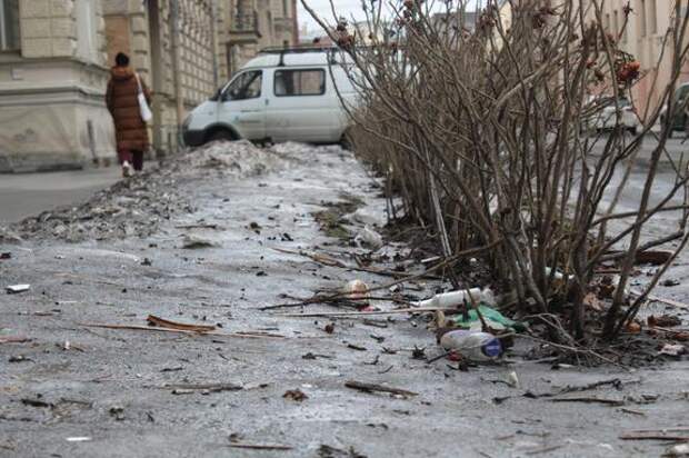 В преддверии субботника петербуржцы почти 400 раз пожаловались на мусор