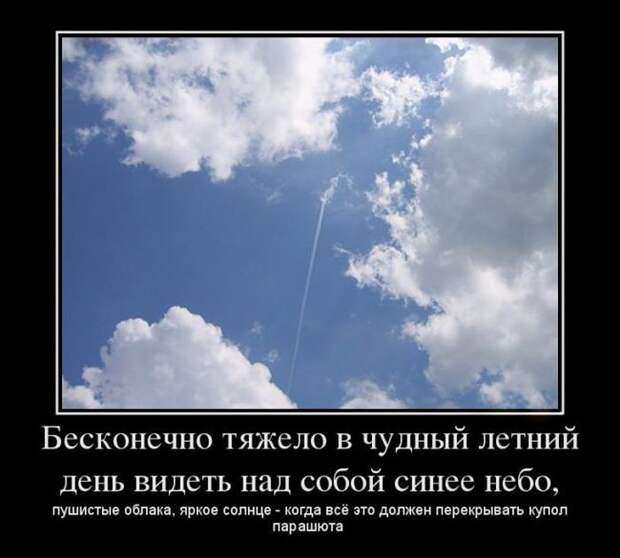 Демотиваторы №1103 (30 фото)