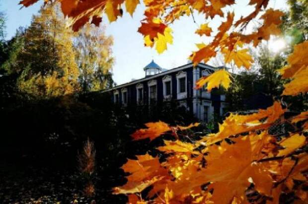 В "Ивановке" 6 декабря пройдёт "Зимний музыкальный фейерверк"