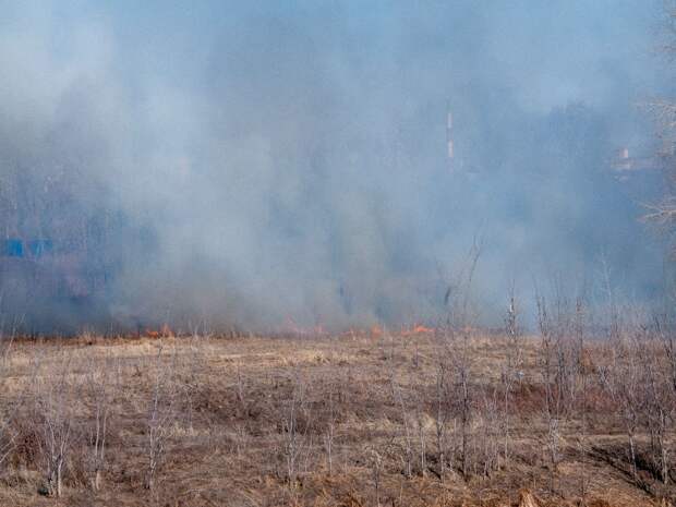С победой с международных соревнований вернулись тюменские огнеборцы