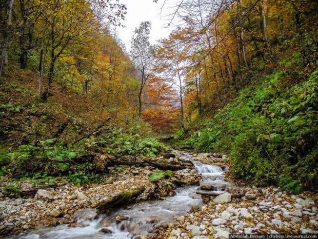 Осень в горах Чечни