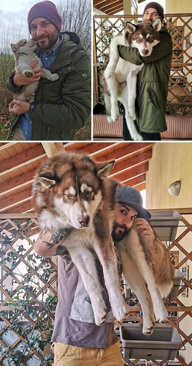 "Один, пять и семь месяцев вместе"