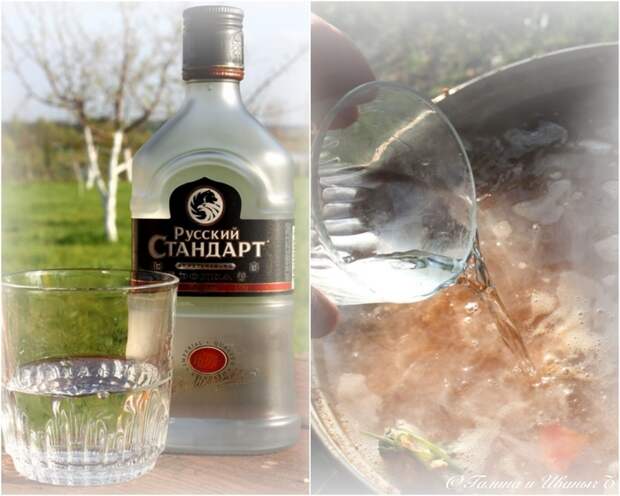 УХА из водки с головёшкой Еда, Уха, Уха на костре, Рыба, Тройная уха, Длиннопост