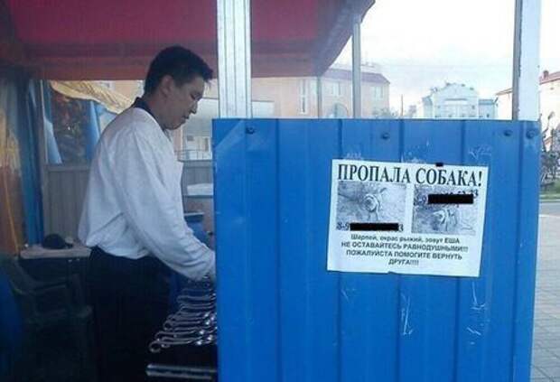 Совпадение?  прикол, шашлык, юмор
