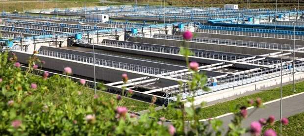 «Живём в выгребной яме»: жители Владивостока намерены подавать петицию президенту России