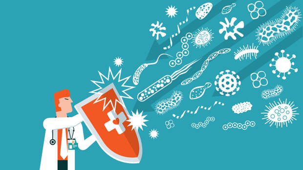 Специалист раскрыла, возможно ли «поддержать» иммунитет с помощью еды