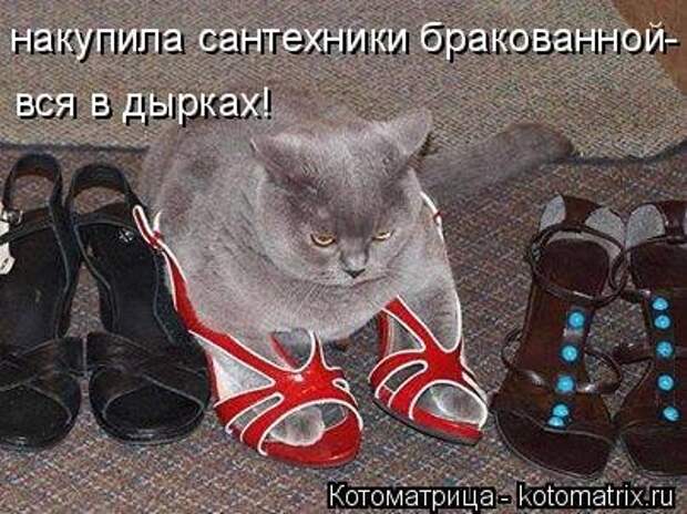 Котоматрица свежак (36 шт)
