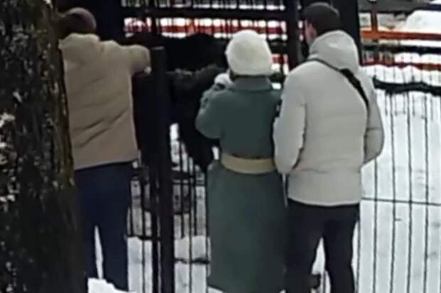 Mash: в Токсово компания накормила медведя в зоопарке сгущенкой