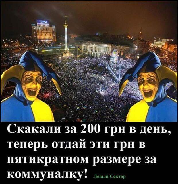 7790371.jpg