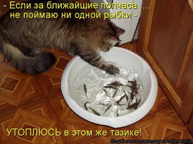 Новые котоматрицы для настроения (32 шт)