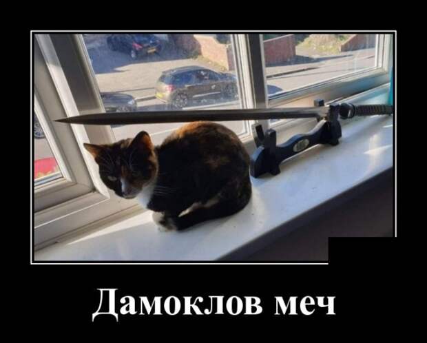 Демотиваторы (30 фото)