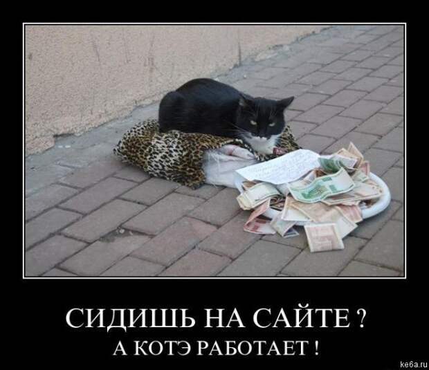 Животным смешно, а вам? (90 фото)