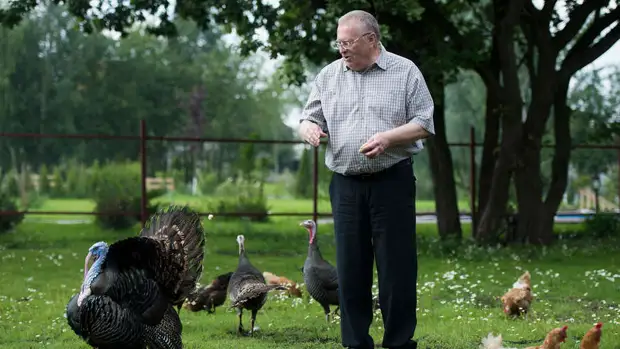 В Госдуме выразили надежду, что в Киеве появится улица Жириновского