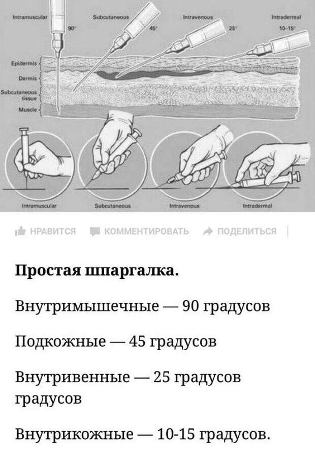 20 полезных  шпаргалок о нашем теле, здоровье, еде и хорошей жизни