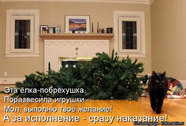 kotomatritsa_3 (700x474, 347Kb)