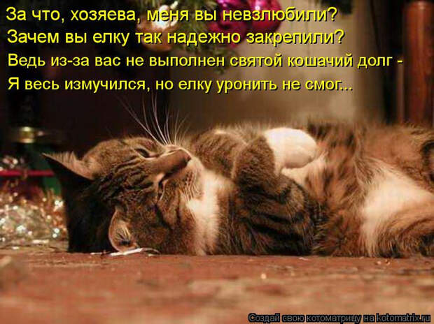 kotomatritsa_3s (700x524, 417Kb)