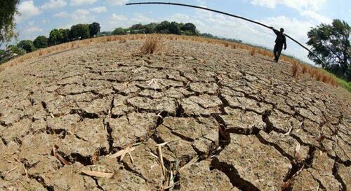"Situation Is Really Precarious": World's Largest Rice Exporter Faces Output Decline Amid Heatwave