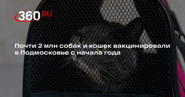 Почти 2 млн собак и кошек вакцинировали в Подмосковье с начала года