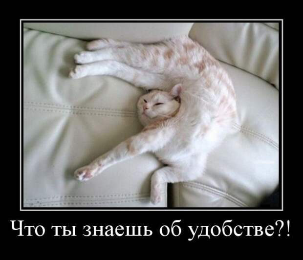 Демотиваторы Демотиваторы