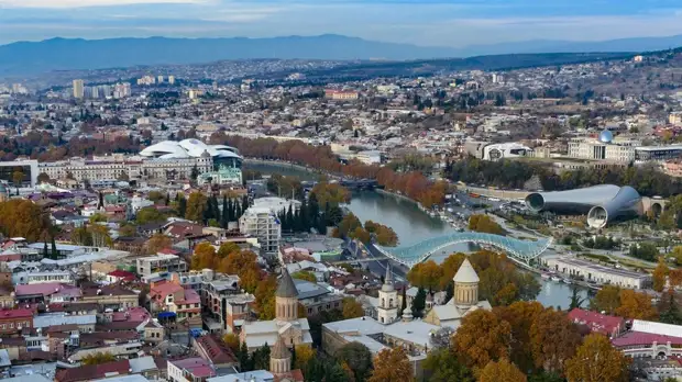 Грузинская оппозиция требует запретить некоторые организации из США